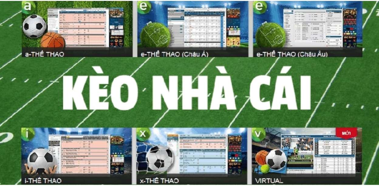 Các loại tỷ lệ kèo nhà cái phổ biến thường gặp